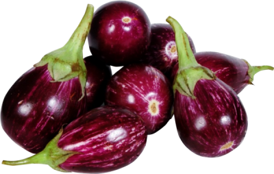 கத்திரிக்காய் (ஊதா) / Kaththarikkai (Udha) - Brinjal (Purple)